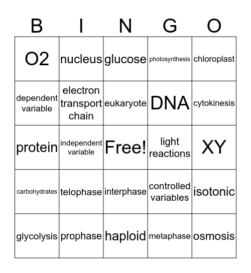 Semester Exam Review Bingo Card