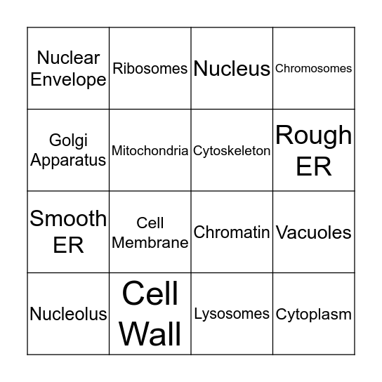 Cell Organelles  Bingo Card