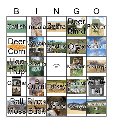 Twin Creeks Ranch Bingo Card