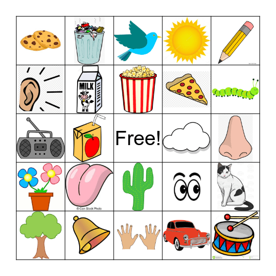 5 Senses Bingo Card