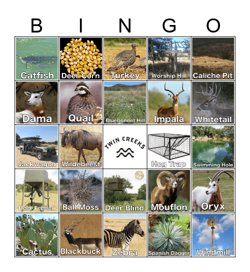 Twin Creeks Ranch Bingo Card