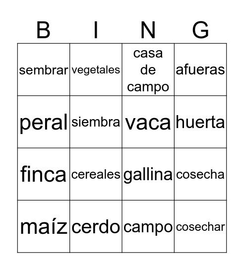 Spanish 3 Chapter 9 Group 2 BINGO Card