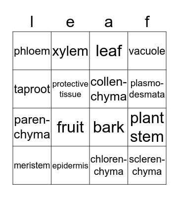 plant organs and tissues Bingo Card