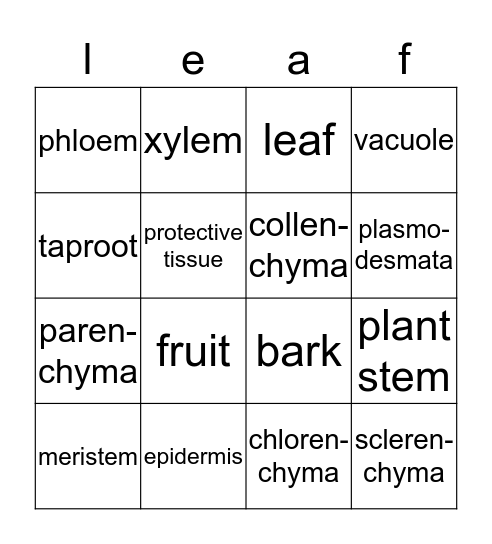 plant organs and tissues Bingo Card