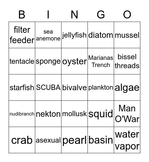 Marine Bingo Card