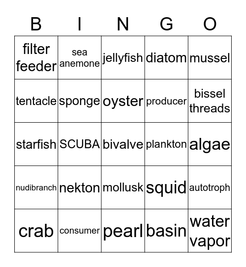 Marine Bingo Card