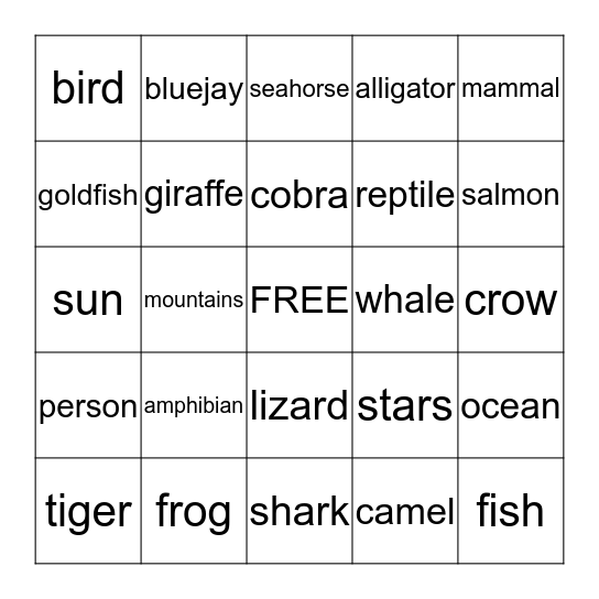 Bingo Card