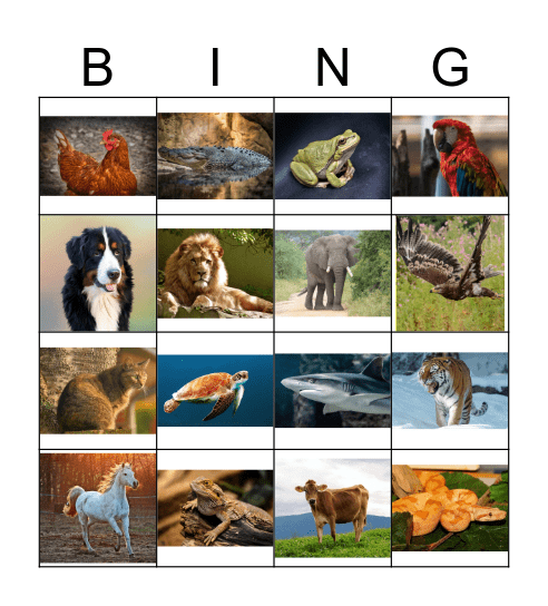 Animals Bingo Card