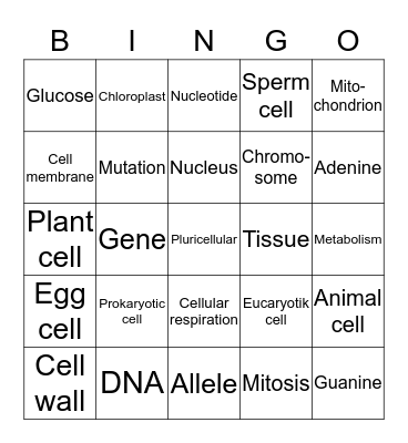 Cell vocabulary Bingo Card