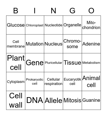 Cell vocabulary Bingo Card