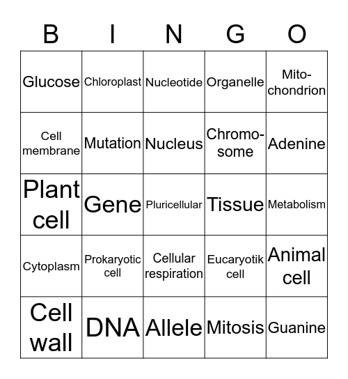 Cell vocabulary Bingo Card