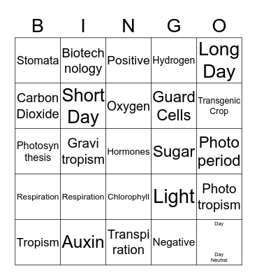 Chapter 11 Bingo Card