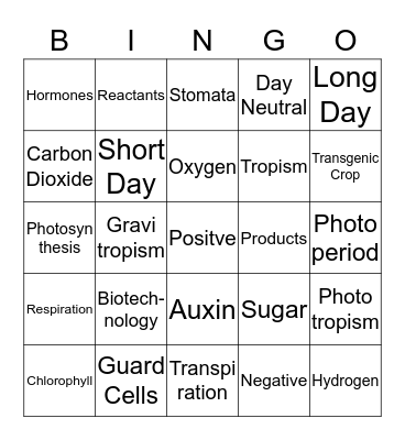 Chapter 11 Bingo Card