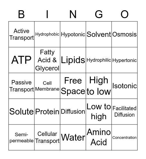 Cell Transport Bingo Card