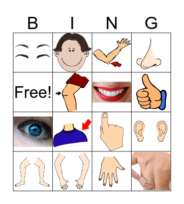 Body Parts Bingo Card