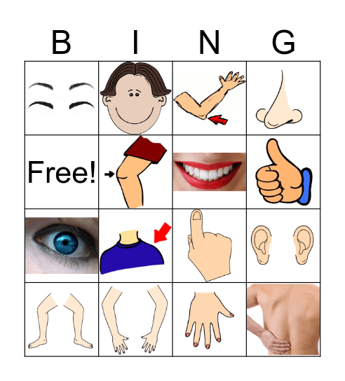 Body Parts Bingo Card