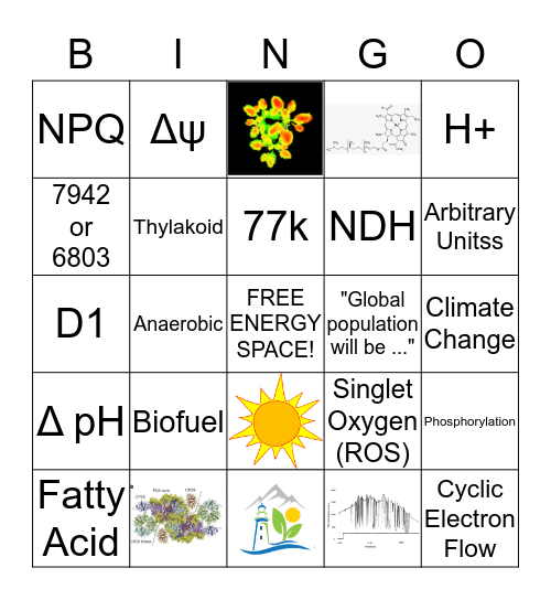 Western Photosynthesis Bingo Card