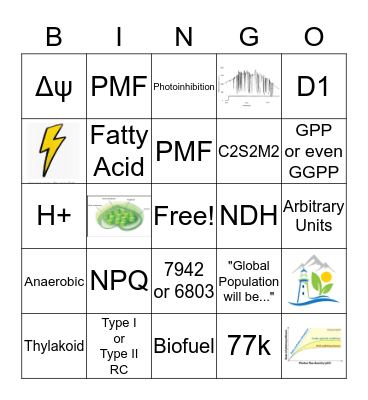 Western Photosynthesis Bingo Card