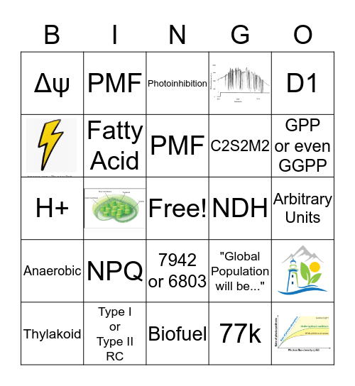 Western Photosynthesis Bingo Card