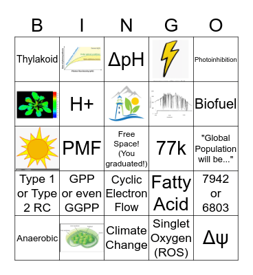 Western Photosynthesis Bingo Card