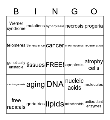 Cells & Aging Bingo Card