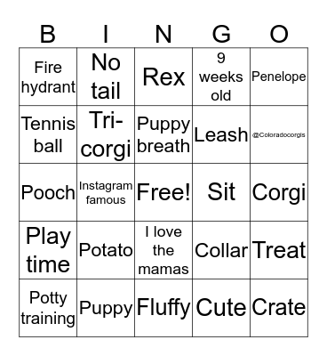 Puppy Bingo  Bingo Card