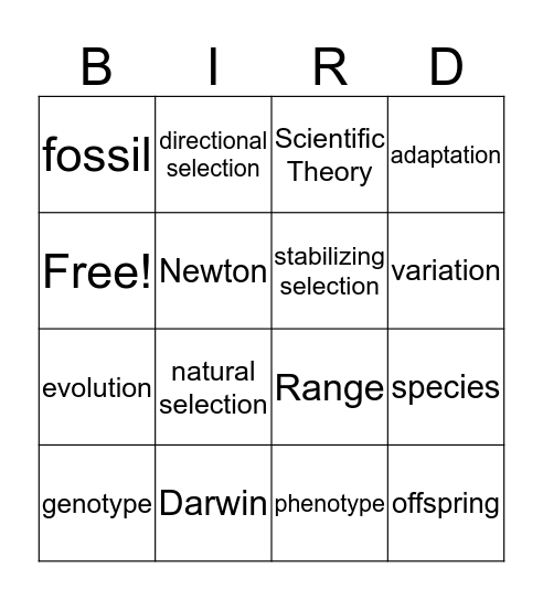 Adaptations & Evolution Bingo Card