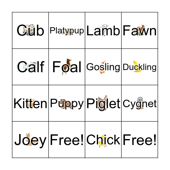 Animal Offspring Names Bingo Card