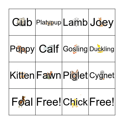 Animal Offspring Names Bingo Card
