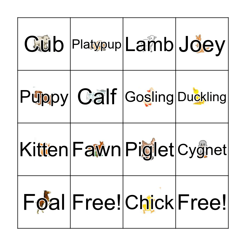 Animal Offspring Names Bingo Card