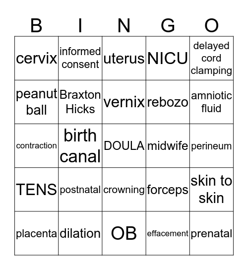 Birth Bingo Card