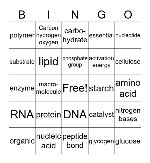 Macromolecules Bingo Card