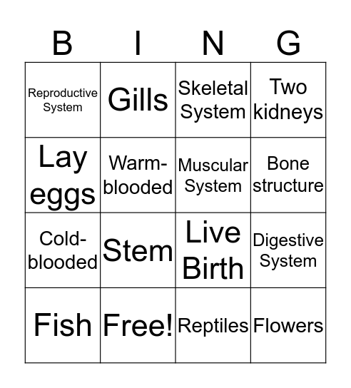 Molecules to Organisms Bingo Card