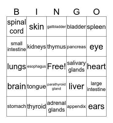 Anatomy Bingo Card