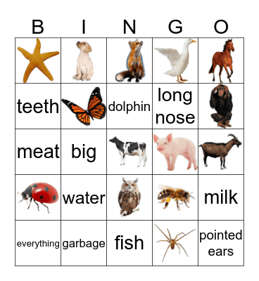 Animals Movers Bingo Card
