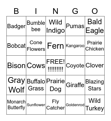 Grasslands Bingo Card