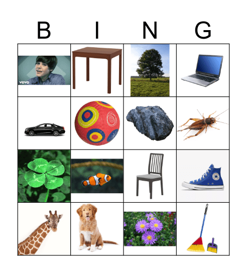 Living vs. Non-living Bingo Card
