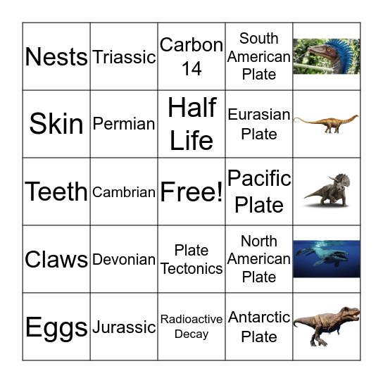 Chapter 14 Bingo Card