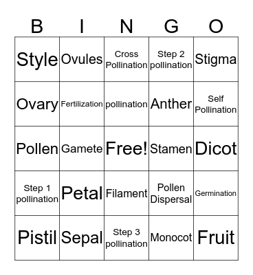 Flower Reproduction  Bingo Card