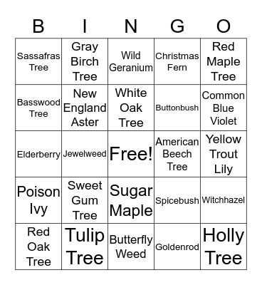 Native Plants Bingo! Bingo Card