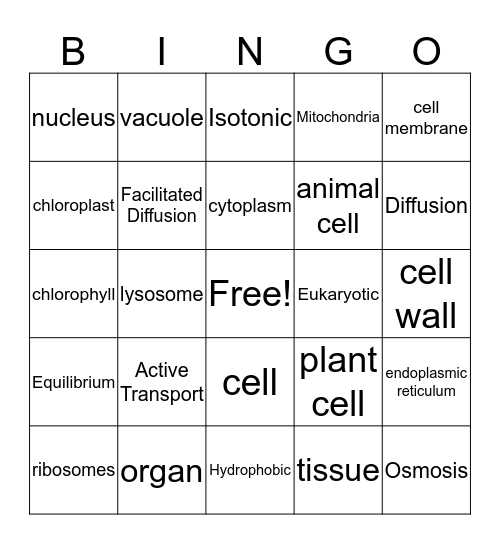 Cell Structure & Function Bingo Card
