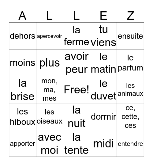 French II le vocabulaire de la semaine 14 Bingo Card