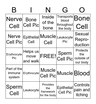 Specialized Cells  Bingo Card