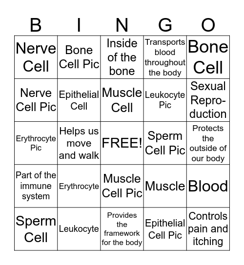 Specialized Cells  Bingo Card
