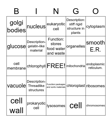 Cell parts and functions Bingo  Bingo Card