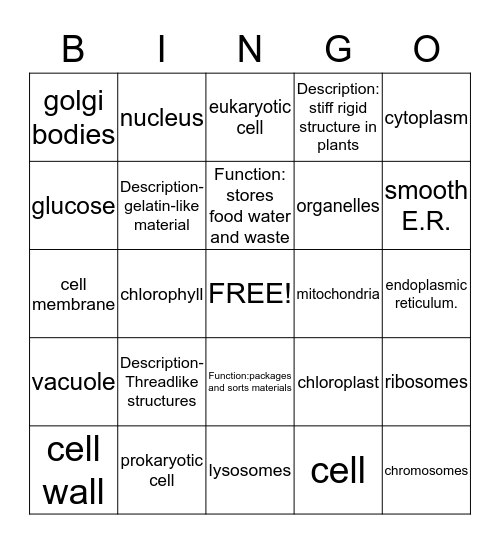 Cell parts and functions Bingo  Bingo Card