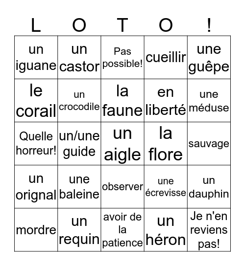 5-6H  Chapître 5.1 Bingo Card