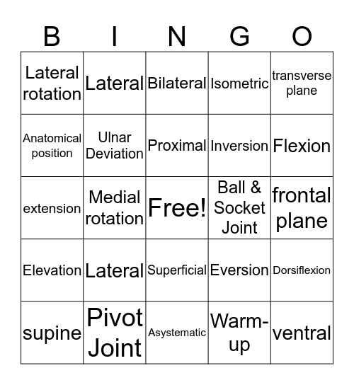 Anatomical Terms  Bingo Card