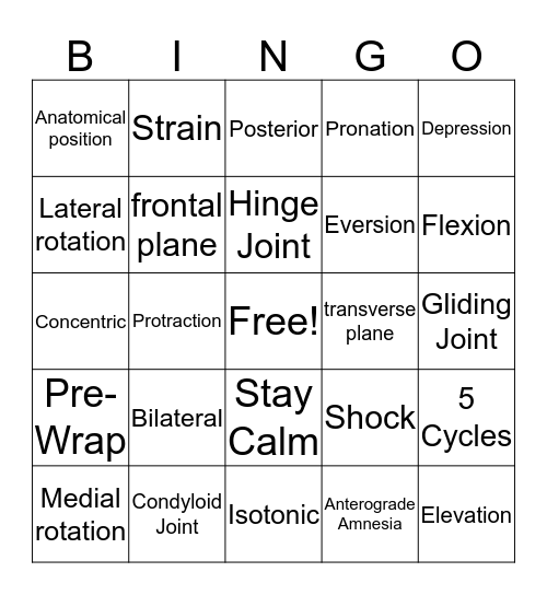 Anatomical Terms  Bingo Card