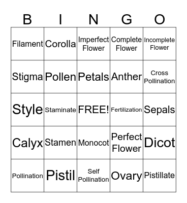 Parts of a Flower Bingo Card